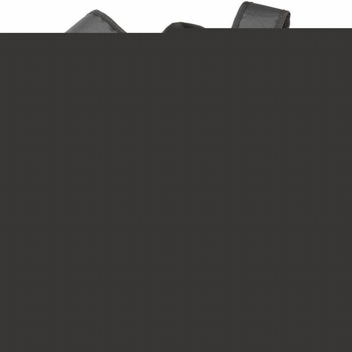 Pet Backpack Ferplast Pink