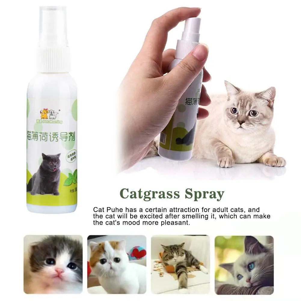 20/50ml Cat Catnip Spray Healthy Ingredients