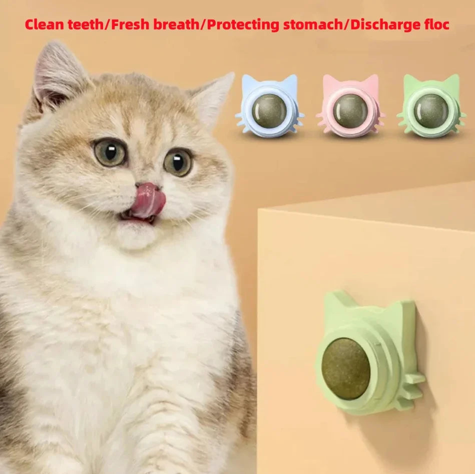 Catnip Toys for Cats Indoor Interactive Wall Spin Ball Natural Mint