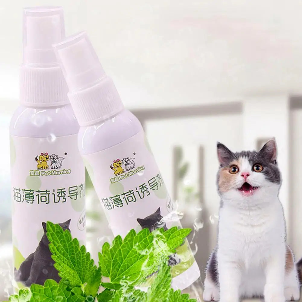 20/50ml Cat Catnip Spray Healthy Ingredients