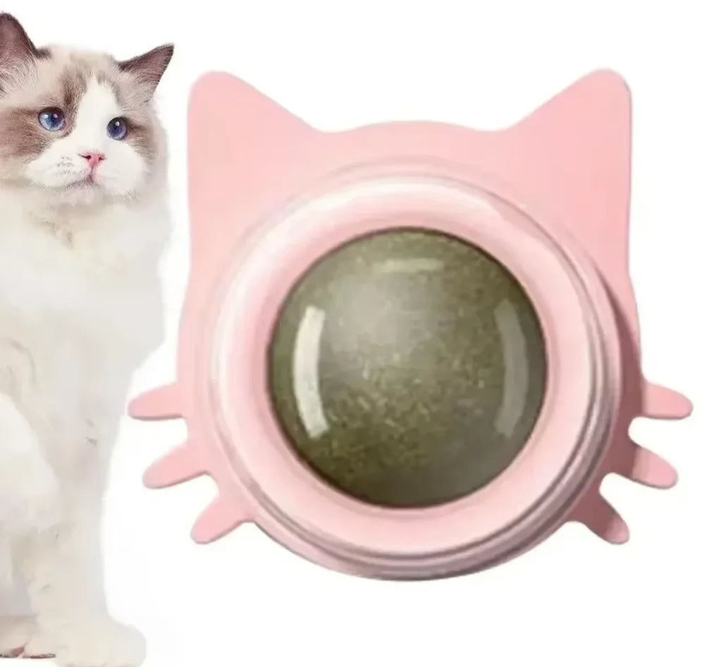 Catnip Toys for Cats Indoor Interactive Wall Spin Ball Natural Mint