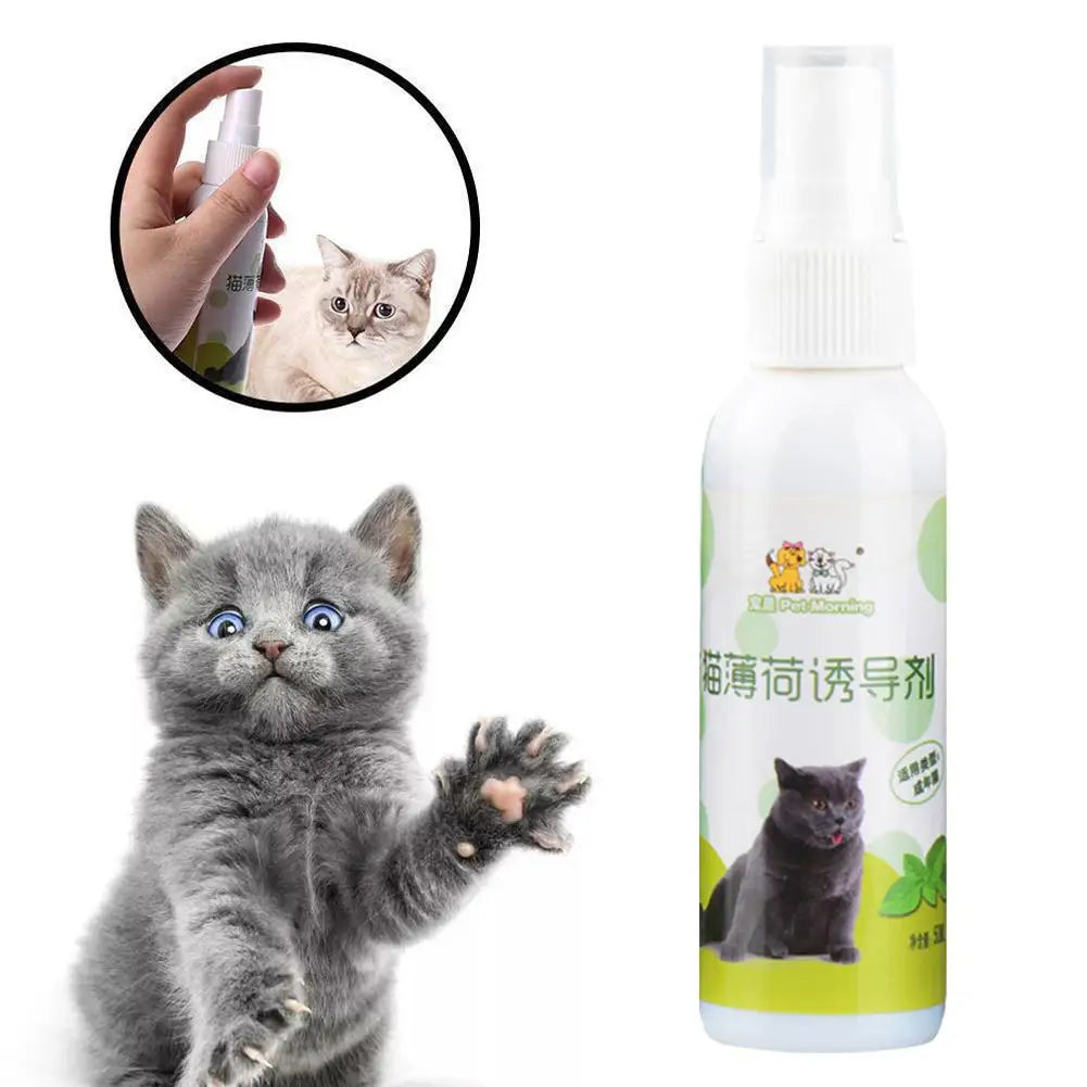 20/50ml Cat Catnip Spray Healthy Ingredients