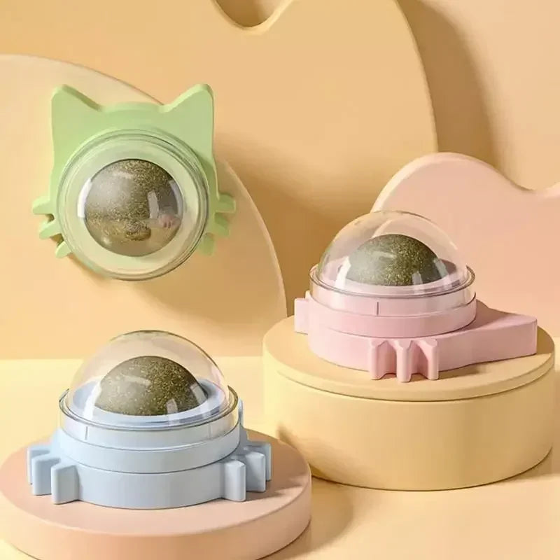 Catnip Toys for Cats Indoor Interactive Wall Spin Ball Natural Mint